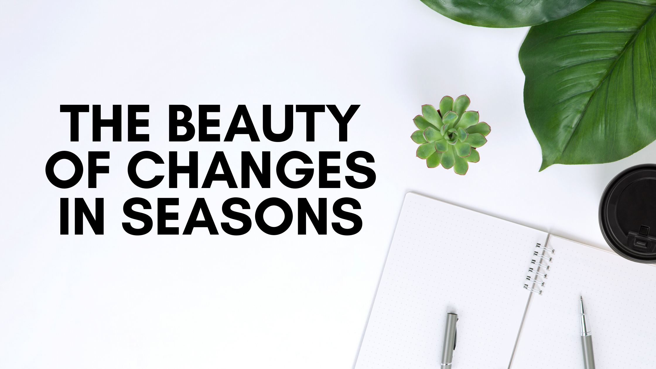 The beauty of changes in seasons